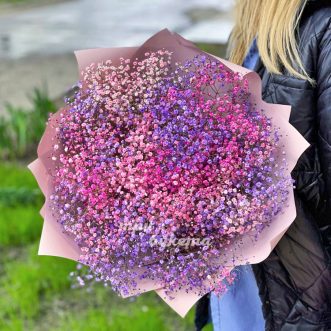 Букет из 17 розовых гипсофил